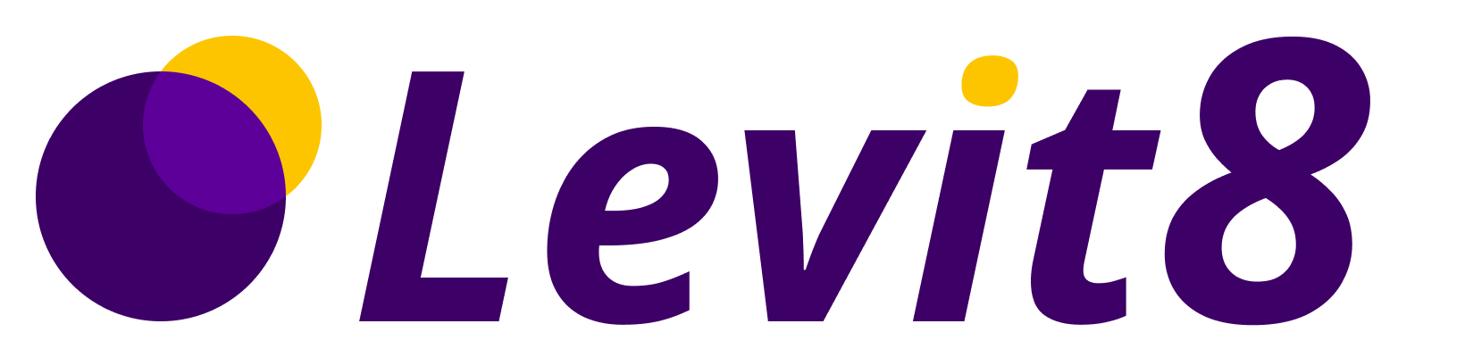 Levit8 Logo - Primary on Light - Transparent BG